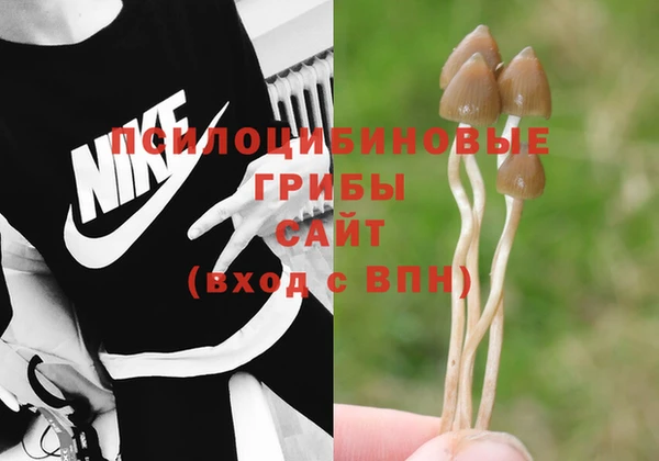 не бодяженный Тында