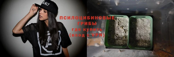 первитин Туринск