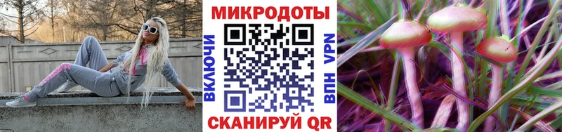 Псилоцибиновые грибы GOLDEN TEACHER купить наркоту Поворино