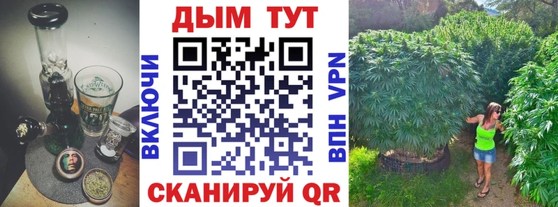 Бошки марихуана конопля  даркнет официальный сайт  Поворино 